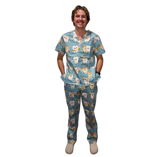 Dentist fun scrubs